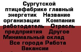 Сургутской птицефабрике главный энергетик › Название организации ­ Компания-работодатель › Отрасль предприятия ­ Другое › Минимальный оклад ­ 1 - Все города Работа » Вакансии   . Архангельская обл.